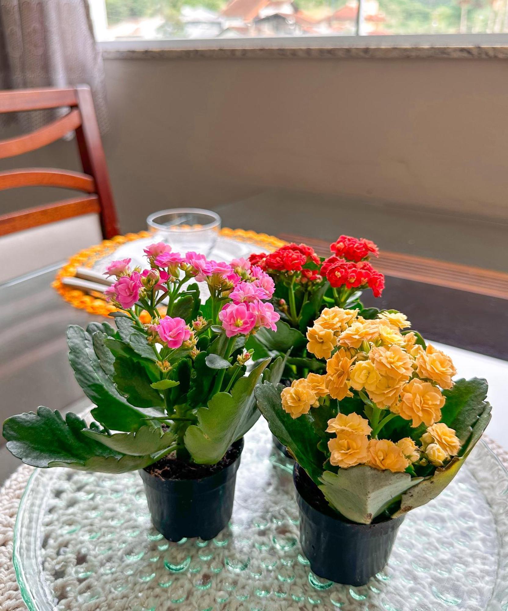 Hospedagem Zilz Pomerode Buitenkant foto