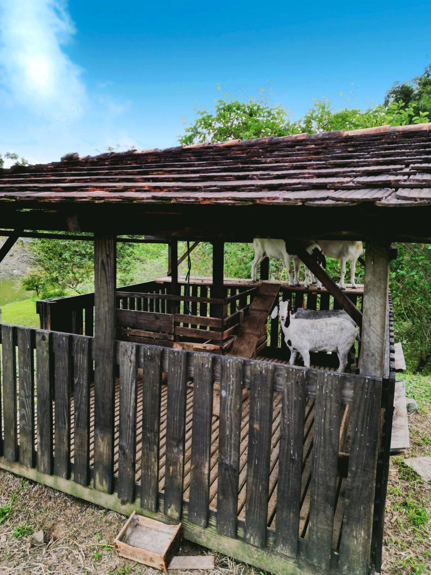 Hospedagem Zilz Pomerode Buitenkant foto
